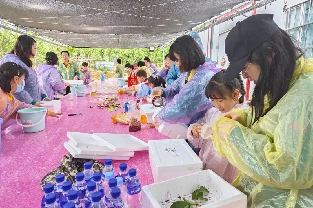 1686723513474773.jpg 640 (4).jpg